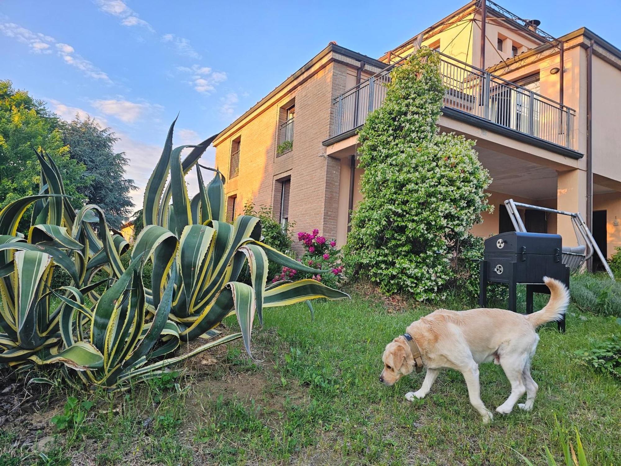 Villa Casa Vincenzo 130 Mq Con Portico Ed Ingresso Esclusivo Dal Giardino Felino Exterior foto
